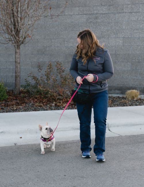 Our Dog Training Methodology Top Dog Boise (1) Our Dog Training Methodology Top Dog Boise