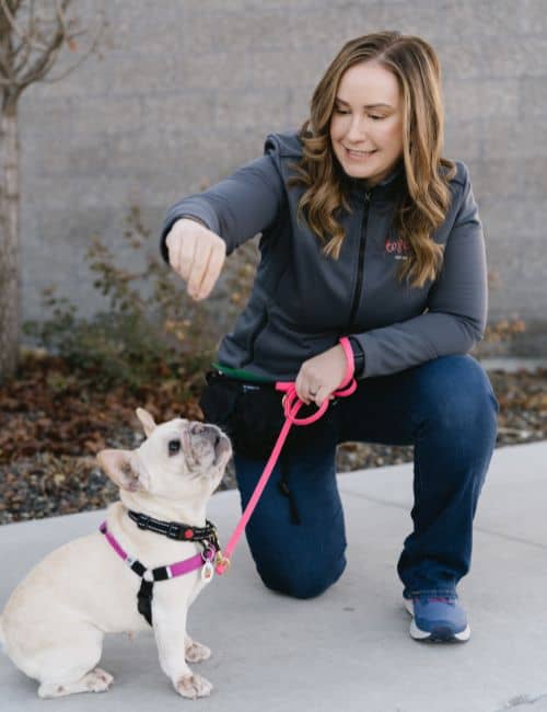 Top Dog Boise About Us Positive Reinforcement Dog Trainers in Boise, ID